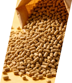 Food and feed industry