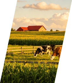 Farms and cooperatives