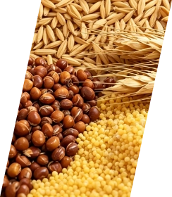 Seed processing
