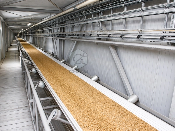 Belt Conveyor for Grain Handling