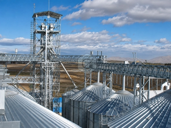 Grain Conveying System for Silo Filling and Distribution