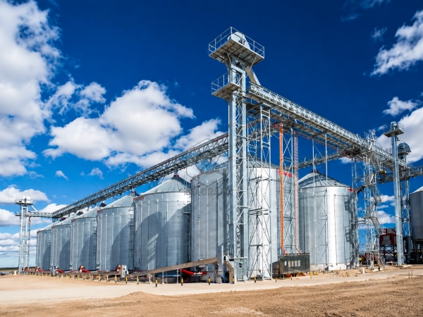 How to Choose the Right Grain Conveyor Capacity