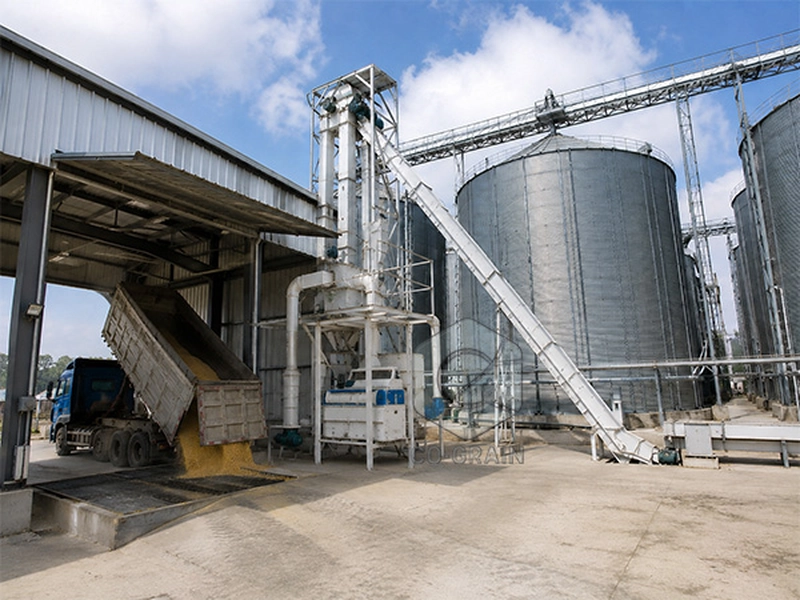 paddy_cleaning_machine_grain_silo_receiving_line