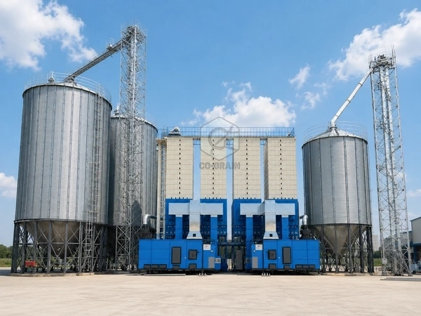 What Is a Paddy Dryer? Complete Guide for Rice Mills