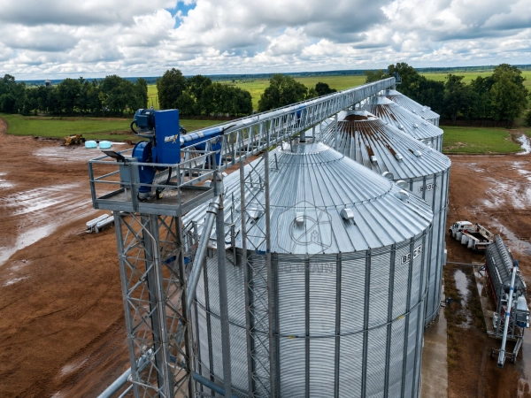 Screw Conveyor vs Drag Chain Conveyor: Which Is Better for Grain?