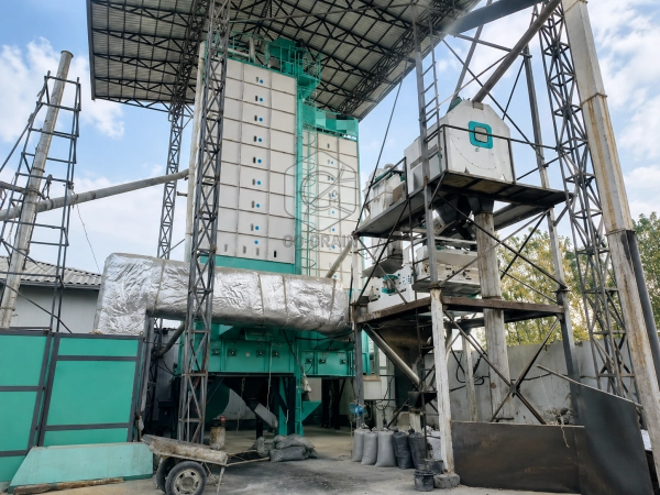Two 20-Ton Batch Paddy Dryers Installed in Uzbekistan