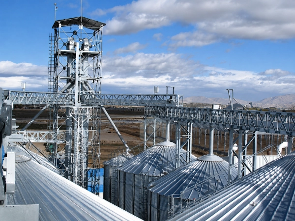 What Is a Grain Conveying System and How Does It Work?