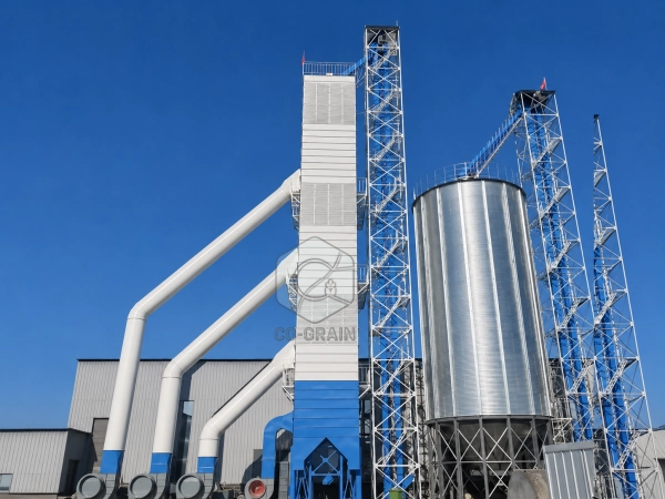 Why Does a Grain Drying Plant Need a Wet Grain Buffer Silo?
